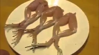 Dead Frog Legs Dancing
