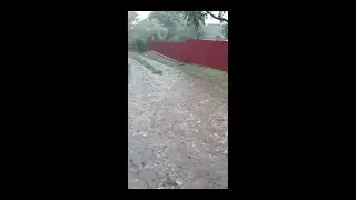Дождь заливает 12.07.21 Житомирськая область