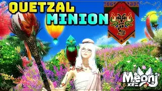 FFXIV: Quetzal Minion - Waterside Exploration XXXI Reward