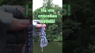 ЗАЧЕМ НУЖЕН РАЧЕК? ЧТОБЫ ЩУКА ЕГО ЕЛА!