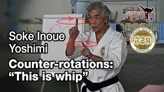 Soke Inoue Yoshimi - Counter-rotations: "This is whip" - Seminar Italy 2013