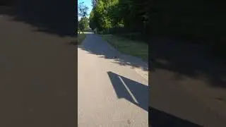 Белка в Понтонном
