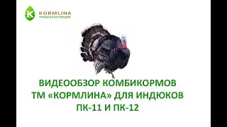 Комбикорм для индюшат