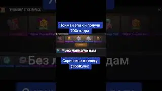 20 августа 2024 г.