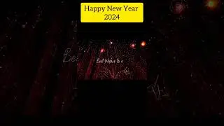 Happy New Year 2024 #shorts #happynewyear #happynewyear2024