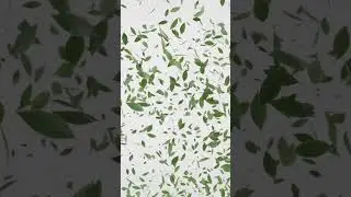 Animation Falling leaves |  Blender 3D Animation [CGI]