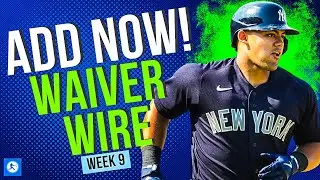Hitters & Pitchers Fantasy Baseball Waiver Wire Pickups - Week 9 (2024)