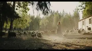 FarmFoodTrailer