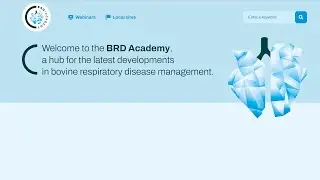 brd-academy.com Show Reel