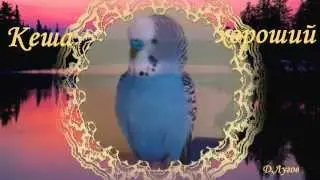 Кеша болтун