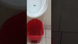 HOW TO UNBLOCK A URINAL WITH LIMITED ACCESS