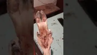 Елік сапты қамшыға сап дайындау