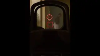 Definitely a gun - Ready or not