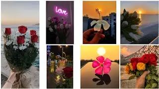 💝🌸 𝐅𝐥𝐨𝐰𝐞𝐫'𝐬 𝐝𝐩 𝐢𝐦𝐚𝐠𝐞'𝐬 𝐟𝐨𝐫 𝐖𝐩/𝐈𝐧𝐬𝐭𝐚/𝐅𝐛 || 𝐁𝐞𝐚𝐮𝐭𝐢𝐟𝐮𝐥 𝐚𝐞𝐬𝐭𝐡𝐞𝐭𝐢𝐜 𝐟𝐥𝐨𝐰𝐞𝐫'𝐬 𝐝𝐩 𝐩𝐢𝐜𝐭𝐮𝐫𝐞𝐬 ||