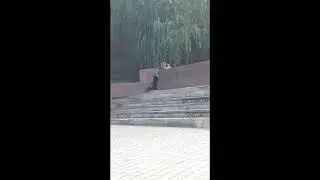 БЕШЕНЫЙ ДЕД ОТЖИГАЕТ НА МЕМОРИАЛЕ, И ПЛОЩАДИ!