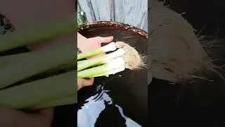 В деревне всегда есть чем заняться...Скоро ролик)