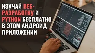 Андроид приложение MIMO для обучения веб-разработке и языку Python