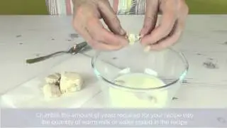 Bake Club presents: How to use fresh yeast