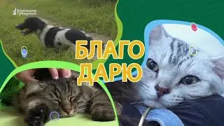 Благо дарю. Выпуск 18