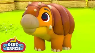 Calming Hanky Down! | Dino Ranch