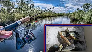How to catch summer bream