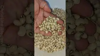Cowpea beans recipe || Ganito pala ang mga benipisyo nito kaya ang sarap nito😋 by Christine Blogger