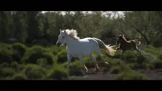 Delon - Occitania (Way Of House 21)