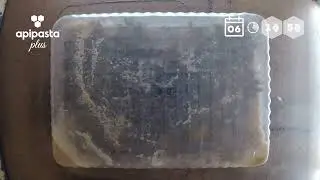 Apipasta Plus Proteinli Arı Yemi [TR]