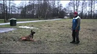 Tüüp autost välja