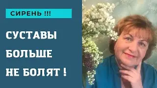 Сирень ! Суставы больше не болят !