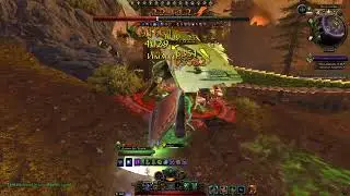 Утро начинается не с кофе, а с багов | Neverwinter Online | M24