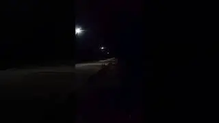 Spooky Sounds of the night 😨