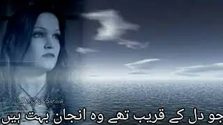 Dilkibatain poetry 💔| Deep poetry status | Status video | Short video | Shayari | Best Urdu shayari