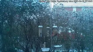 2021-04 Melting snow and bird table