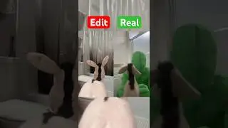 Donkey in the backrooms BREAKDOWN
