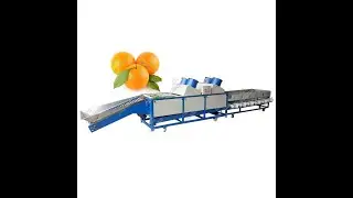 orange sorting production line
