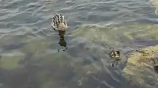Счастливое детство