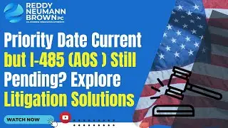 Priority Date Current but I-485 (AOS ) Still Pending? Explore Litigation Solutions