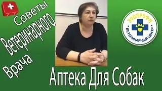 Аптека Для Собак.