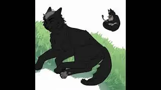 #art #cat