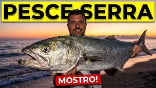 Spinning in MARE dalla SPIAGGIA al PESCE SERRA in ESTATE - Ep 1