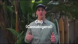 The Benefits of CBG (Cannabigerol) in 2022