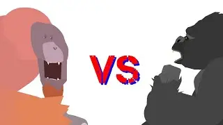 bornean orangutan vs silverback gorilla