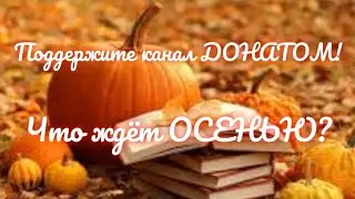Что принесёт осень?