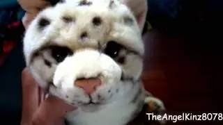 Opening My Signature Ocelot :)