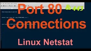 Check Connections To Port 80 & 443 On Linux With Netstat