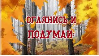 Оглянись и подумай, какая красивая осень! ❤🧡💛💚💙💜🤎
