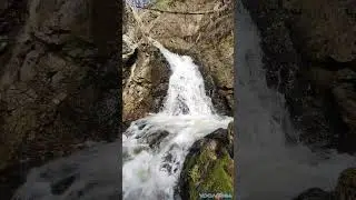 Живописный Асбестовский водопад и следы бобров. Видео из нашей прогулки