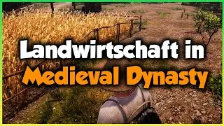 Landwirtschaft in MEDIEVAL DYNASTY 🌱 GUIDE