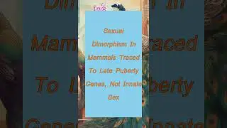 Sexual Dimorphism In Mammals Traced To Late Puberty Genes, Not Innate Sex